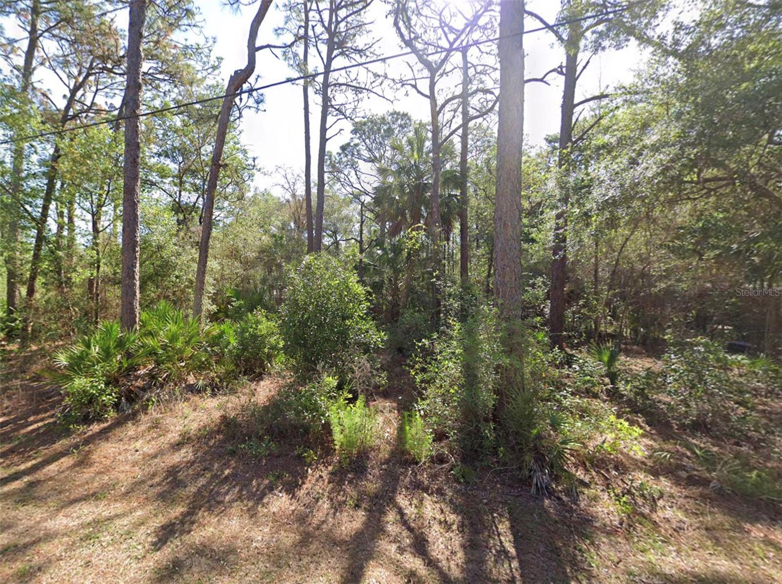 8367 N FIREFLY TER, CRYSTAL RIVER, FL, 34428