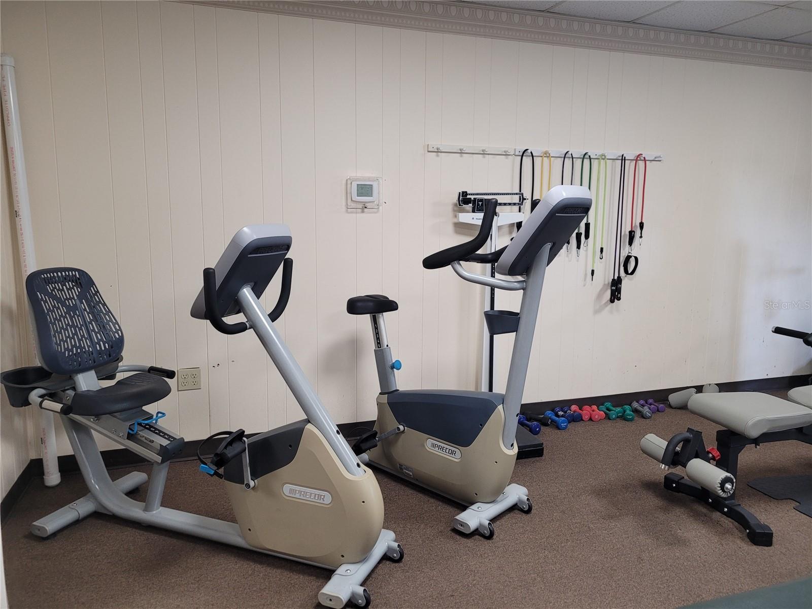 305 OAKWOOD BLVD E, SARASOTA, FL, 34237