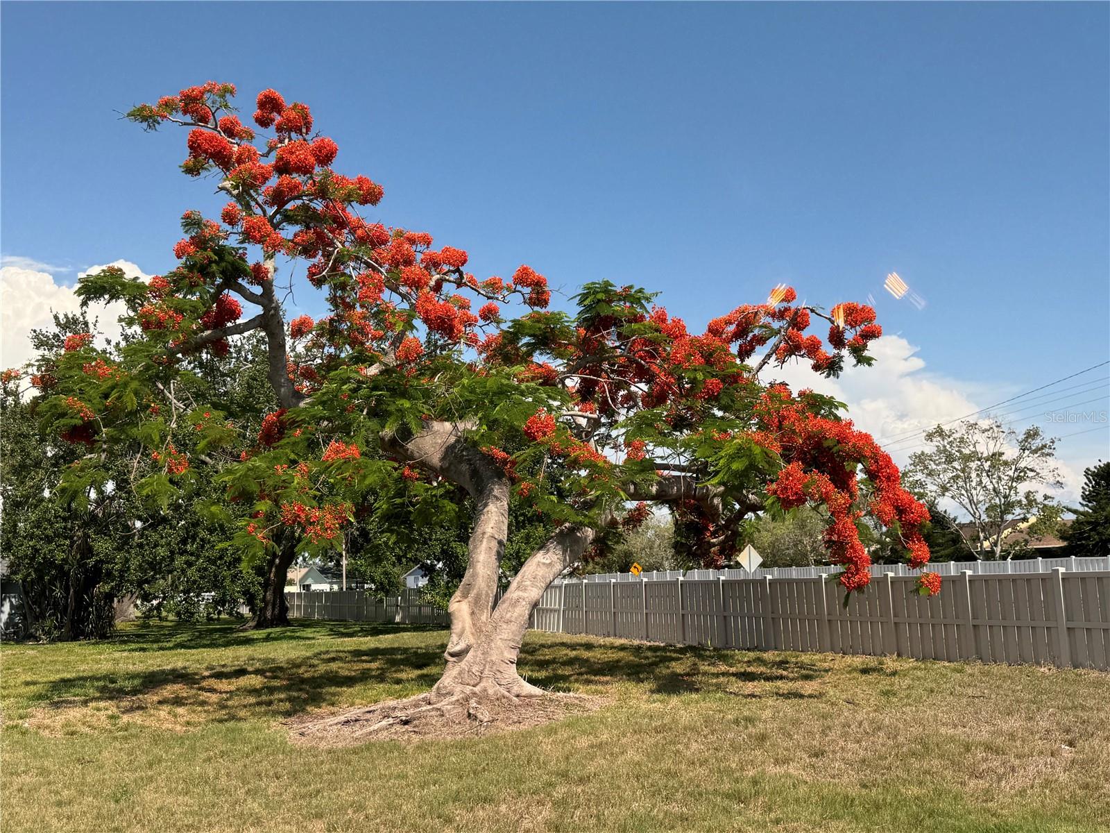 3813 42ND ST W #37, BRADENTON, FL, 34205