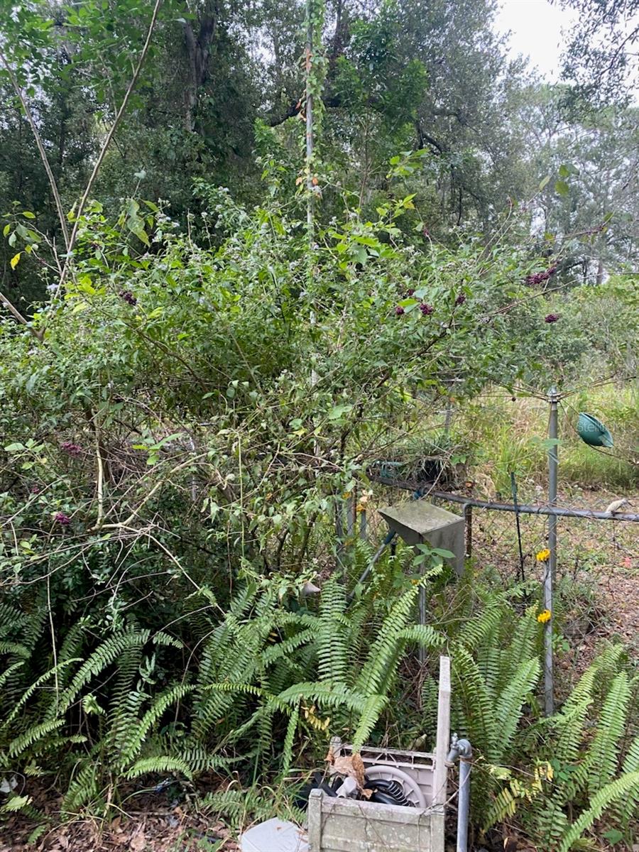 1051 MACON RD, WINTER HAVEN, FL, 33884