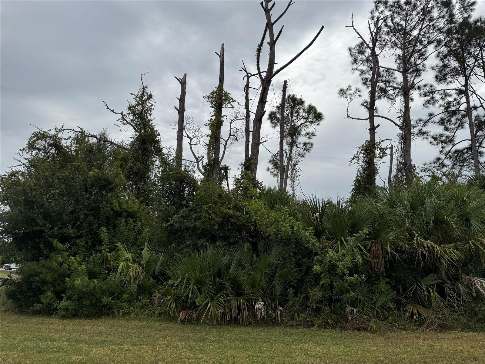 AMNESTY DR, NORTH PORT, FL, 34288