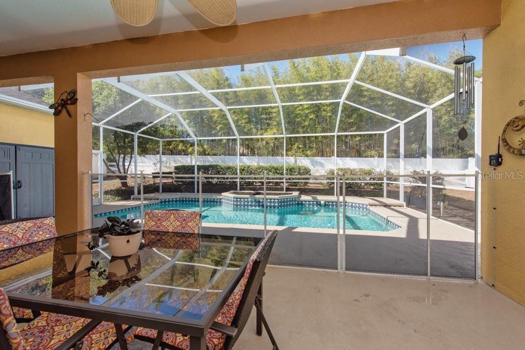 2603 DURANT TRAILS BLVD, DOVER, FL, 33527