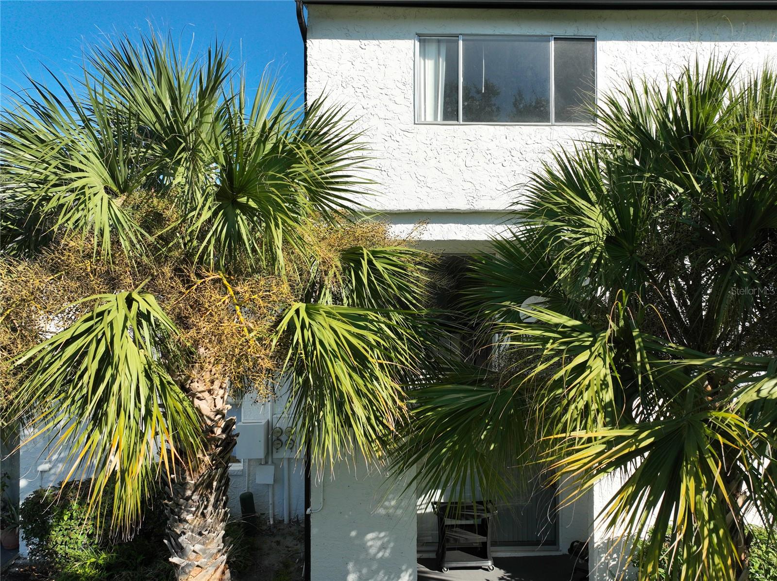 4117 S SEMORAN BLVD #14, ORLANDO, FL, 32822