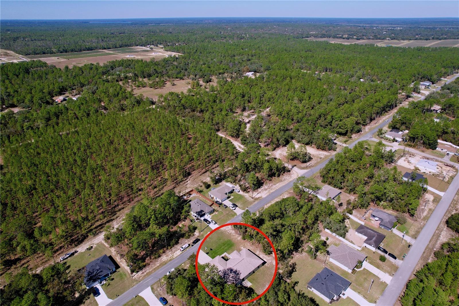 9171 N PARADISEA DR, CITRUS SPRINGS, FL, 34433