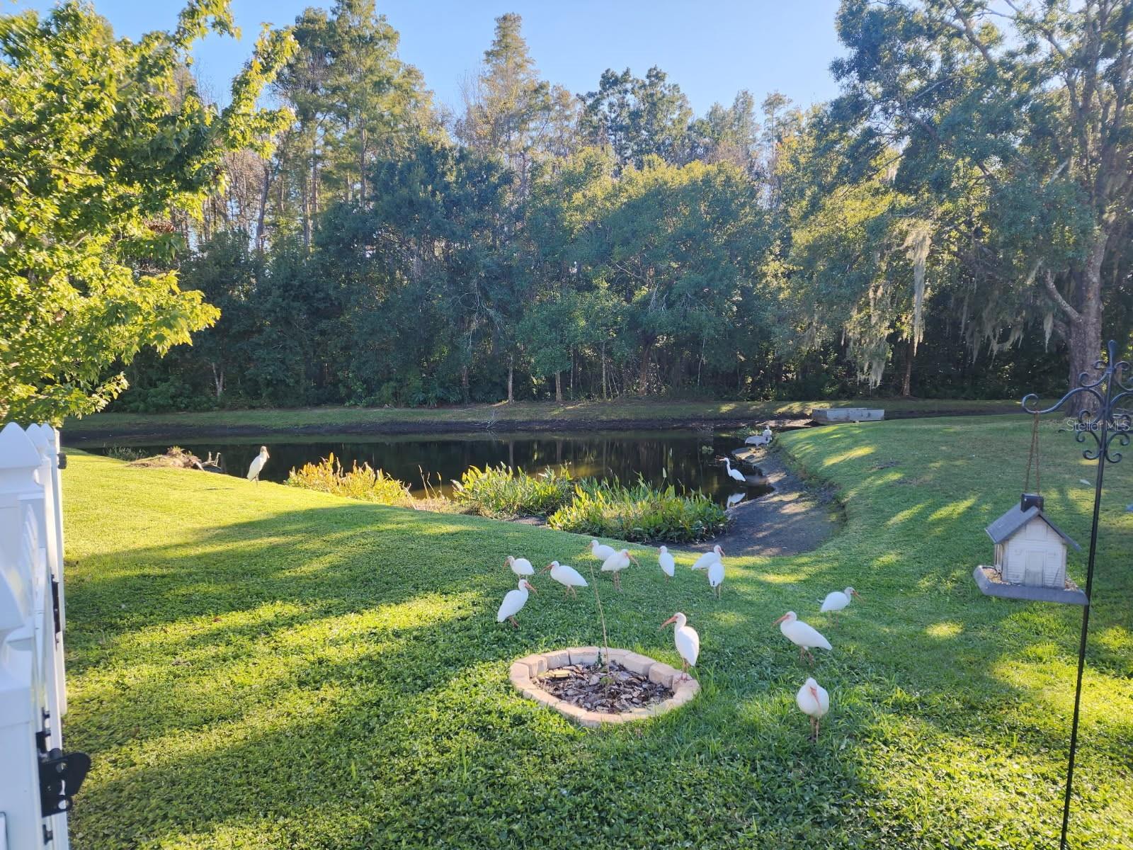 1345 KINSMERE DR, TRINITY, FL, 34655