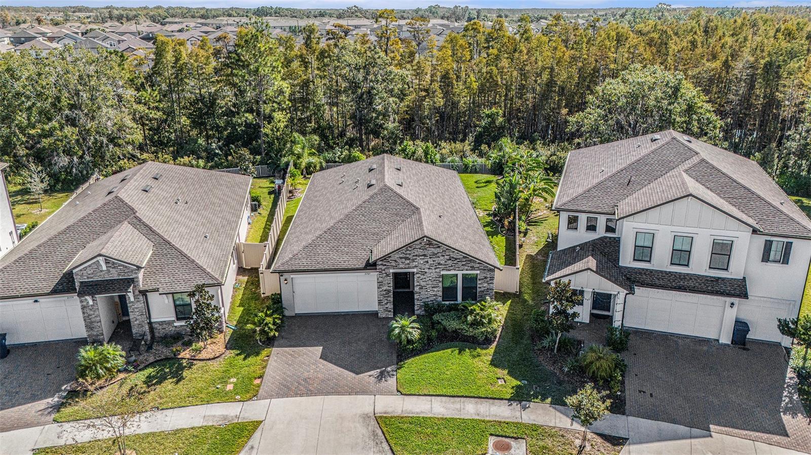 21565 VIOLET PERIWINKLE DR, LAND O LAKES, FL, 34637