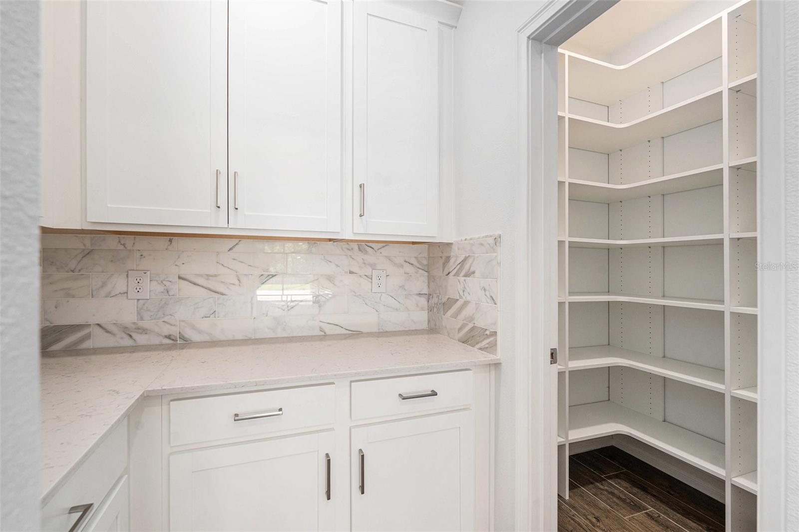 21565 VIOLET PERIWINKLE DR, LAND O LAKES, FL, 34637