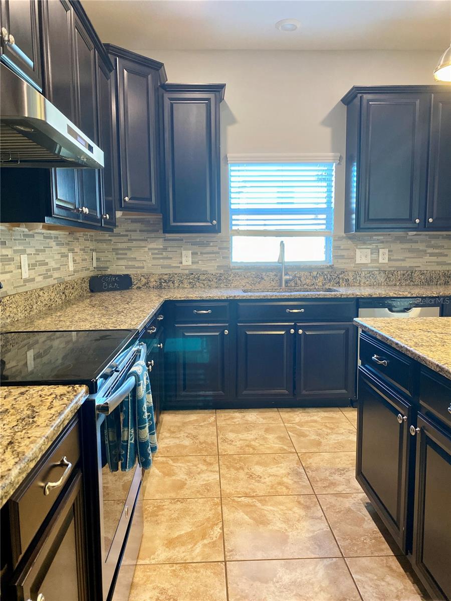 18281 THATCHAM CT, LAND O LAKES, FL, 34638