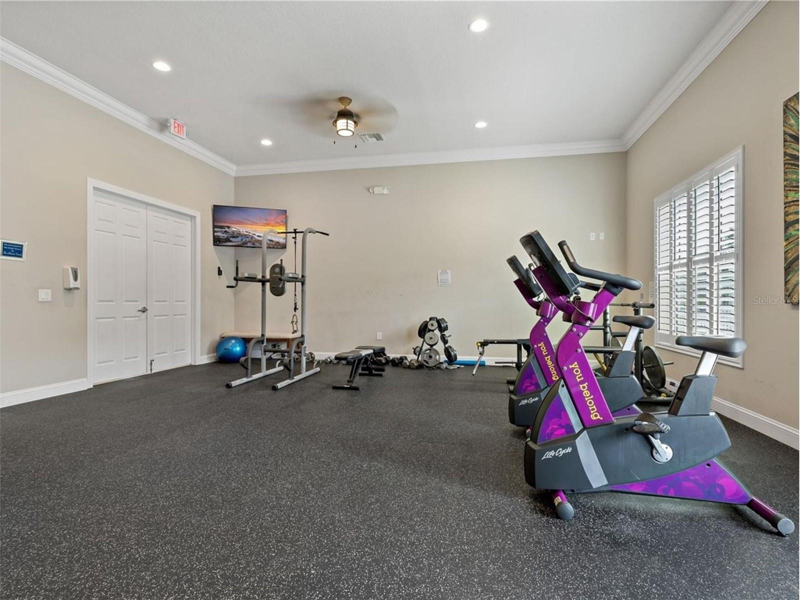 4550 BAY BLVD #1233, PORT RICHEY, FL, 34668