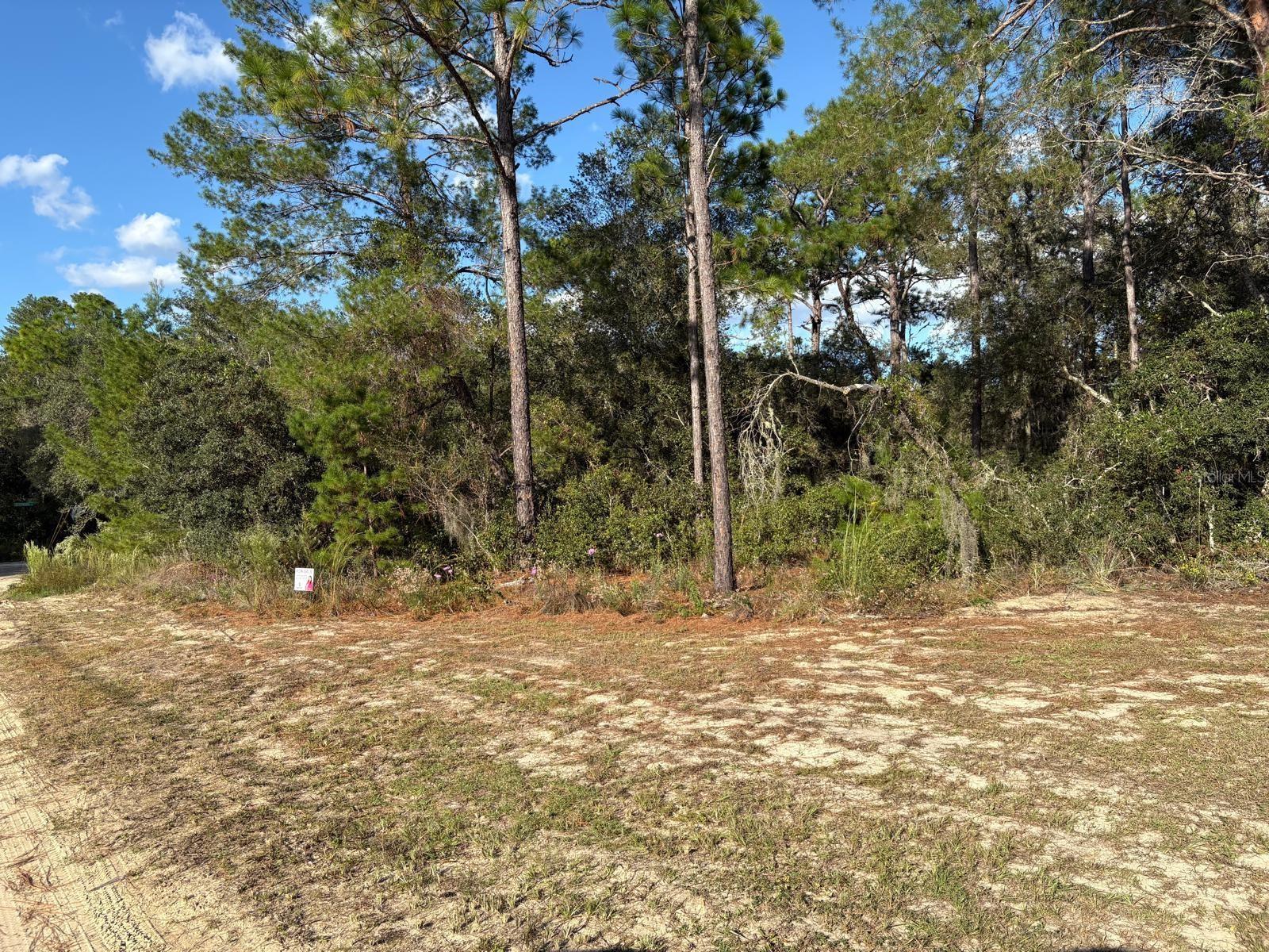 2909 EASTWOOD ST, INVERNESS, FL, 34452
