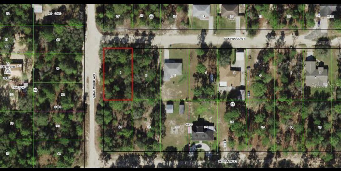 2909 EASTWOOD ST, INVERNESS, FL, 34452