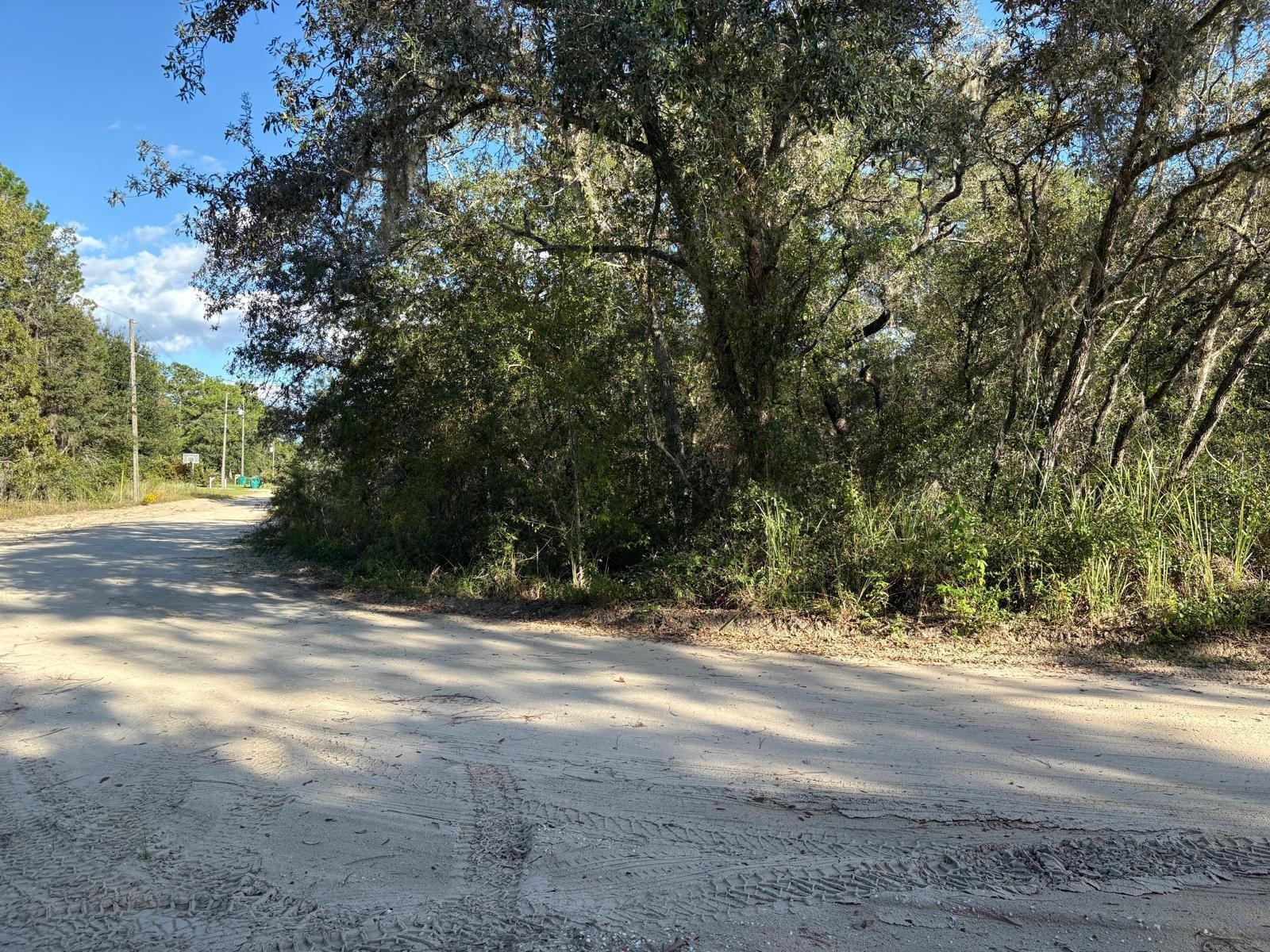 2909 EASTWOOD ST, INVERNESS, FL, 34452