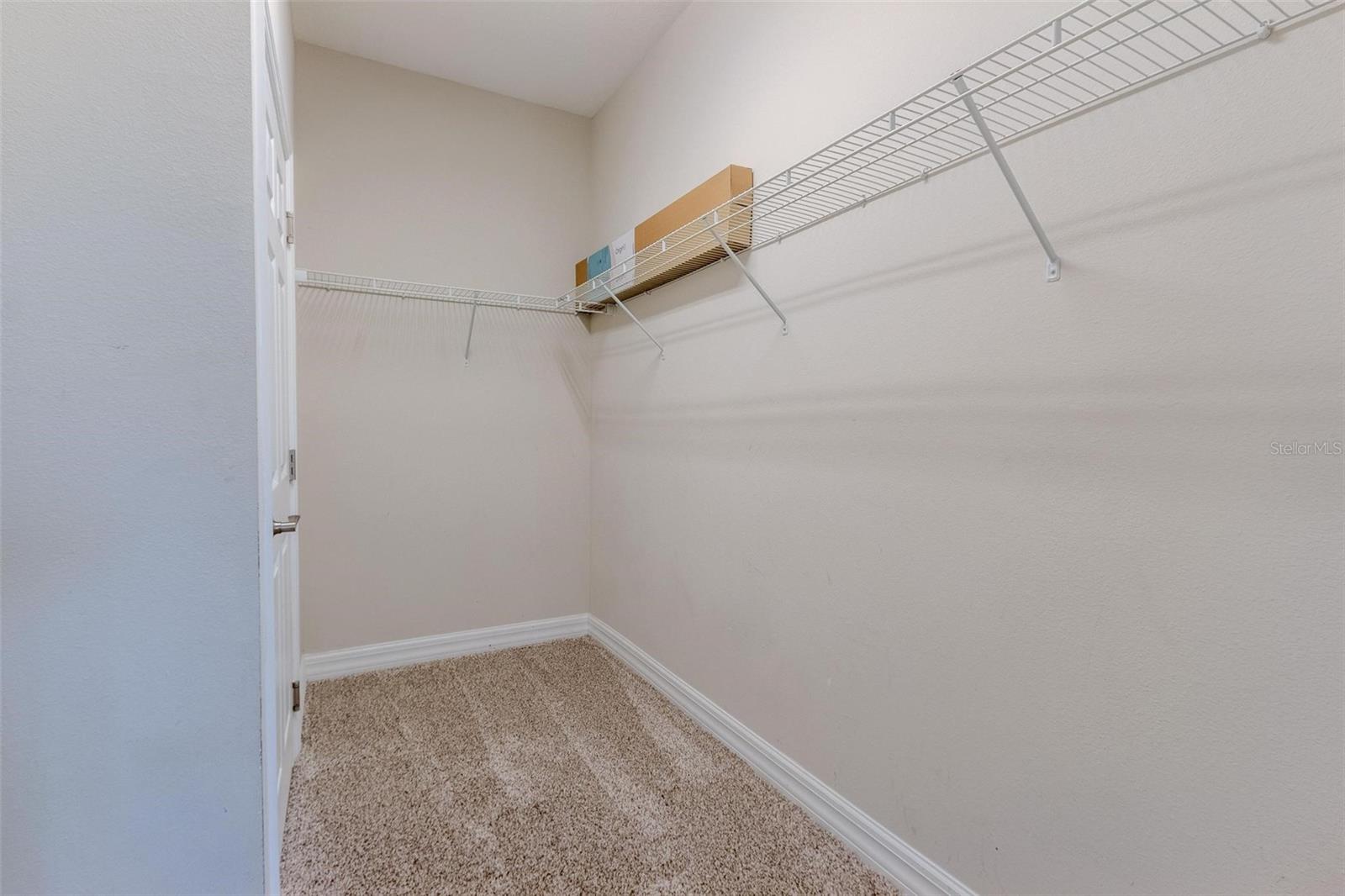 3134 RIVER SPRINGS BLVD, CLERMONT, FL, 34711