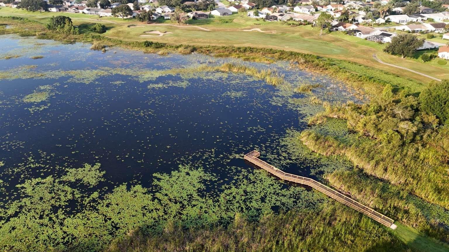 24725 BRIGHTWATER CT, LEESBURG, FL, 34748