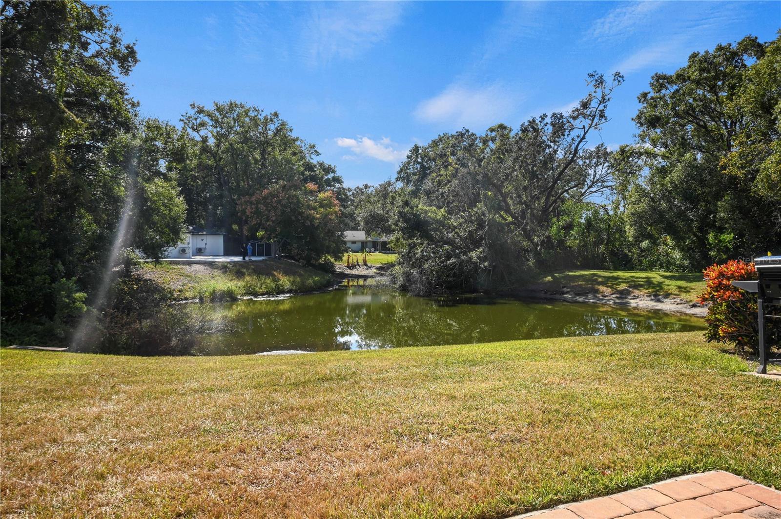 14818 WINDING CREEK CT, TAMPA, FL, 33613