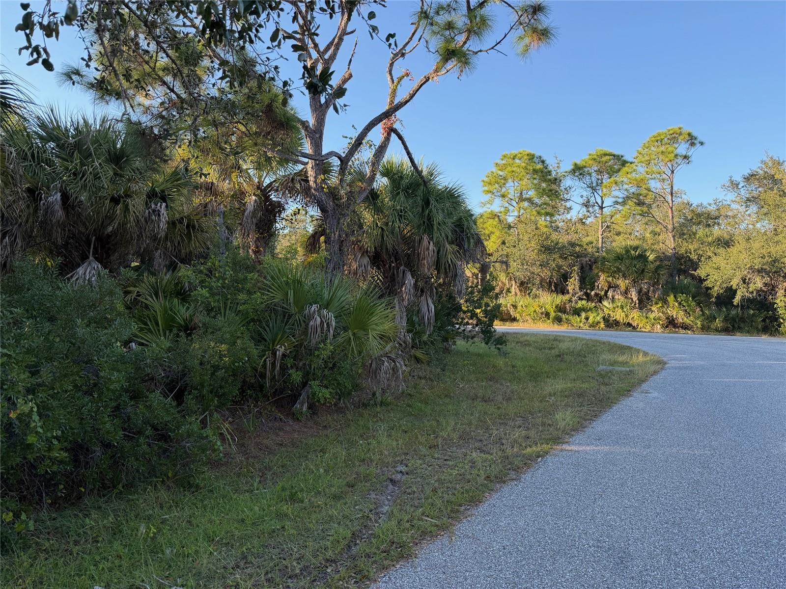 17343 POSTON AVE, PORT CHARLOTTE, FL, 33948