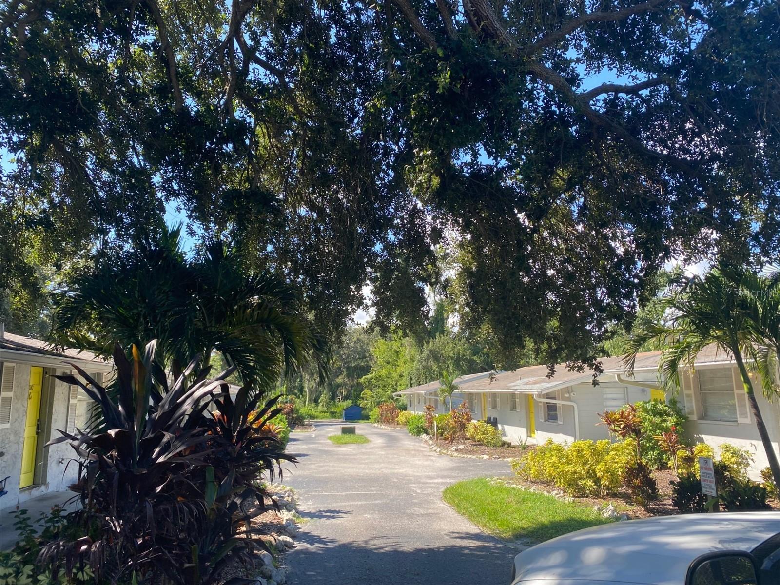 8011 EMI ANN LN, RIVERVIEW, FL, 33578