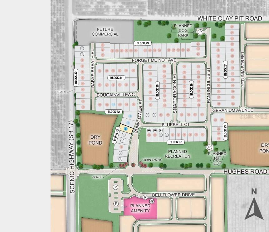 4824 SUNFLOWER ST, LAKE HAMILTON, FL, 33851