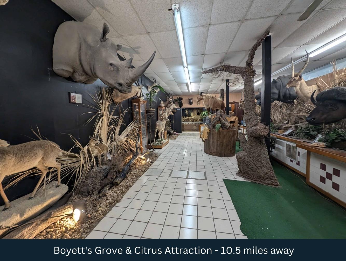 OLD TRILBY RD, DADE CITY, FL, 33523