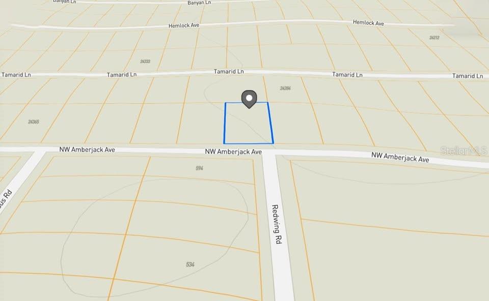 LOT 53 NW AMBERJACK AVE, DUNNELLON, FL, 34431