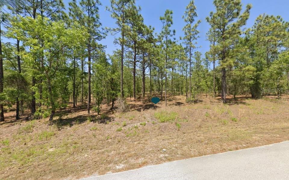 LOT 53 NW AMBERJACK AVE, DUNNELLON, FL, 34431