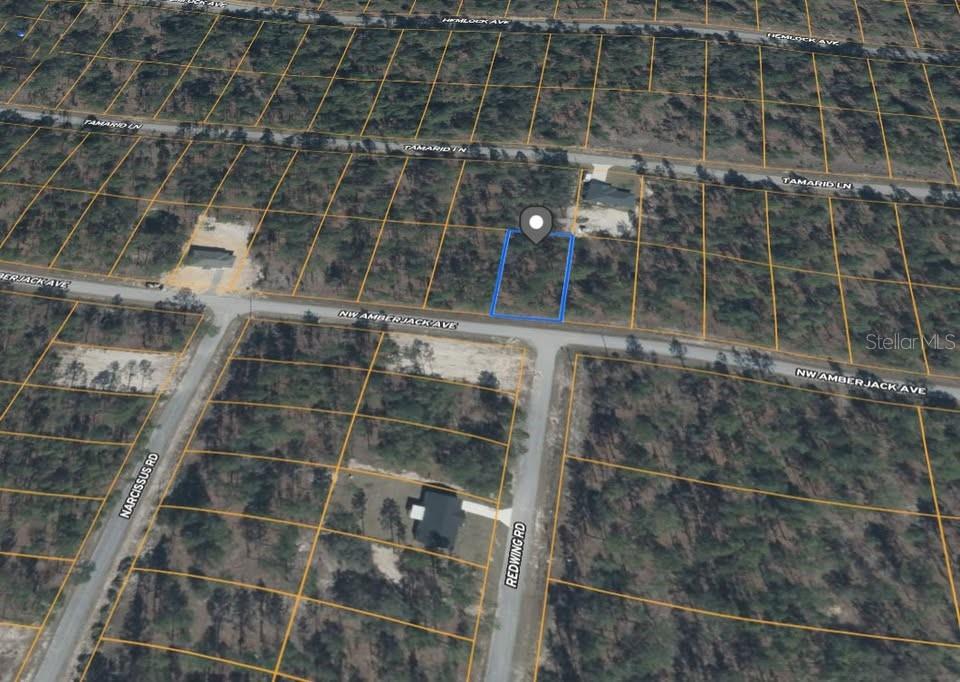 LOT 53 NW AMBERJACK AVE, DUNNELLON, FL, 34431