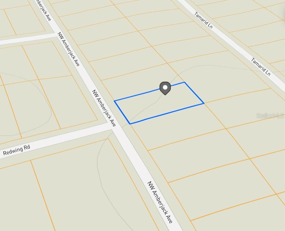 LOT 53 NW AMBERJACK AVE, DUNNELLON, FL, 34431