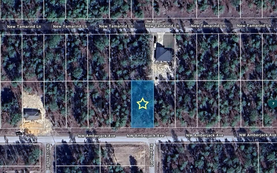 LOT 53 NW AMBERJACK AVE, DUNNELLON, FL, 34431