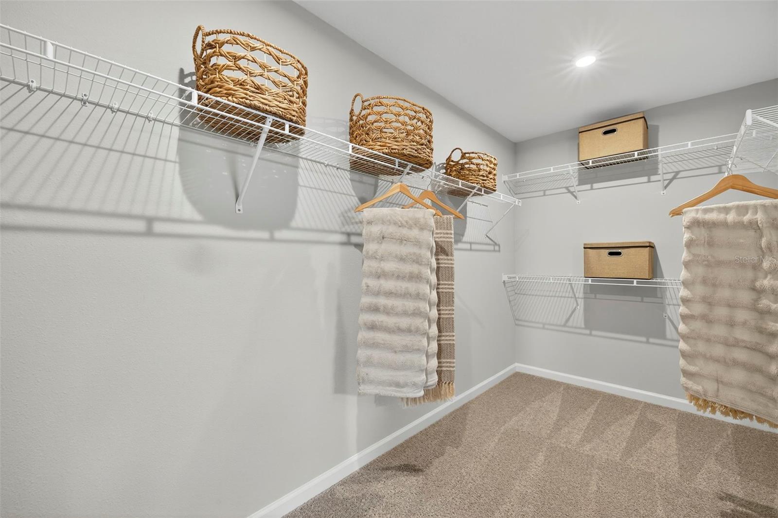 13235 OXEYE LN, PARRISH, FL, 34219