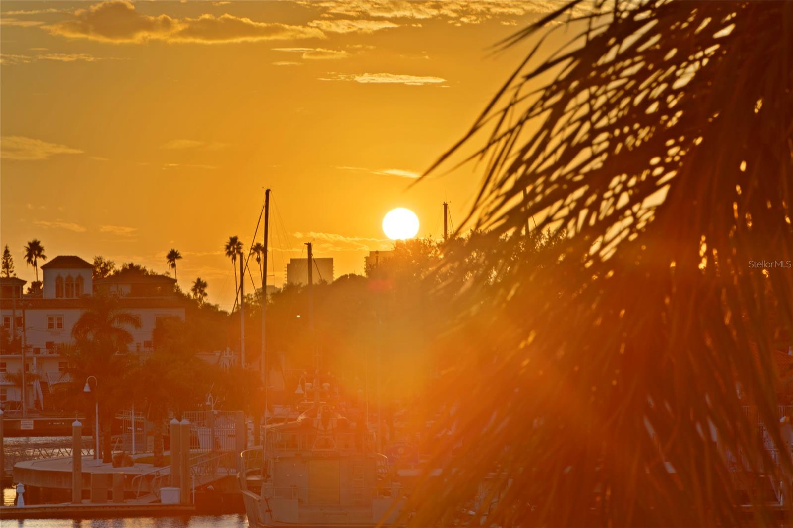 TB8445715 Property Photo