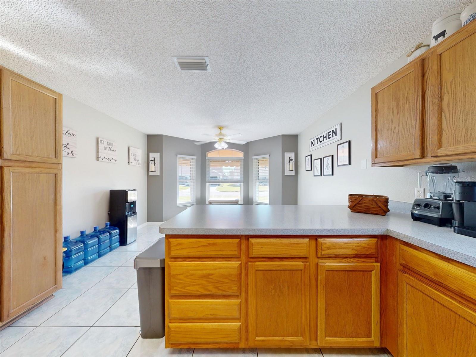 714 DEL ROSARIO ST, THE VILLAGES, FL, 32159