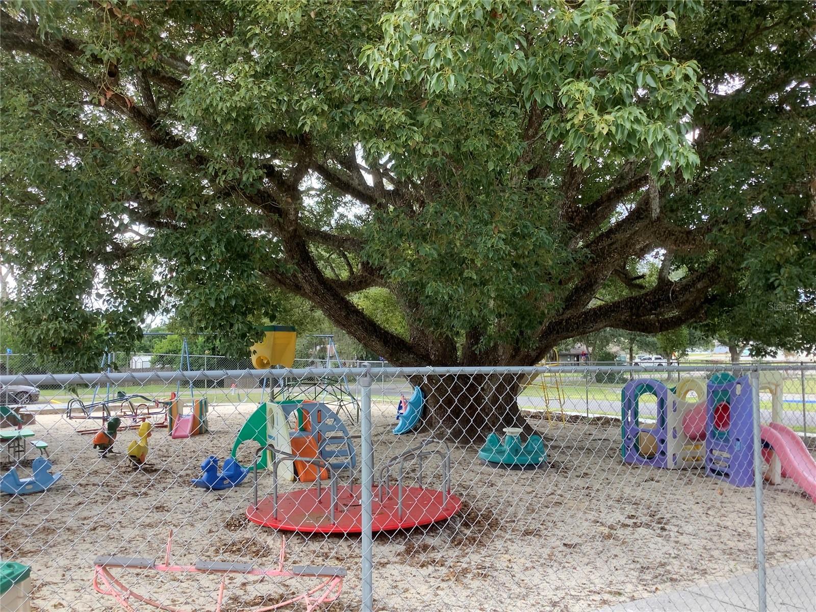 5814 8TH ST, ZEPHYRHILLS, FL, 33542