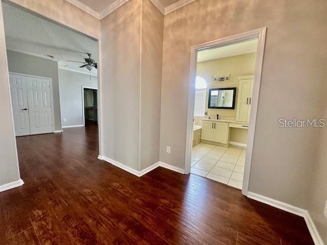 806 WINDER OAKS DR, GOTHA, FL, 34734