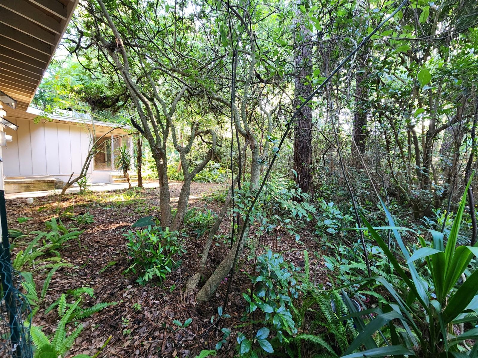 1339 NW 25 TER #B, GAINESVILLE, FL, 32605