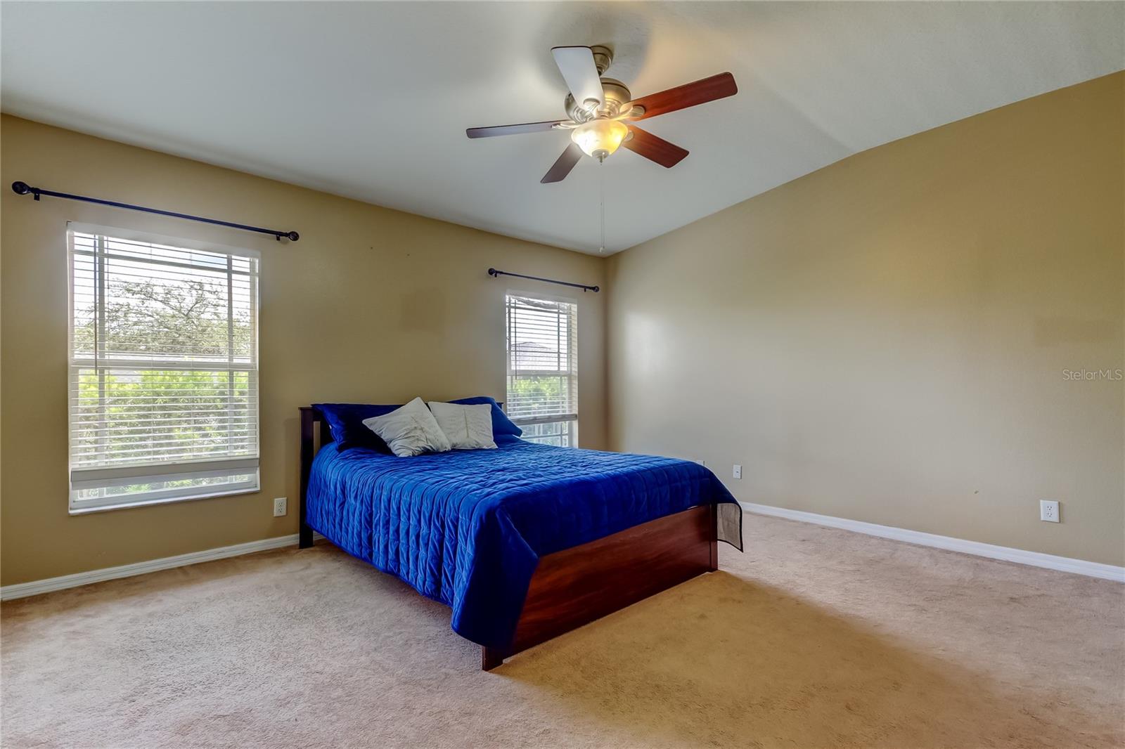 6407 SPRING OAK CT, TAMPA, FL, 33625