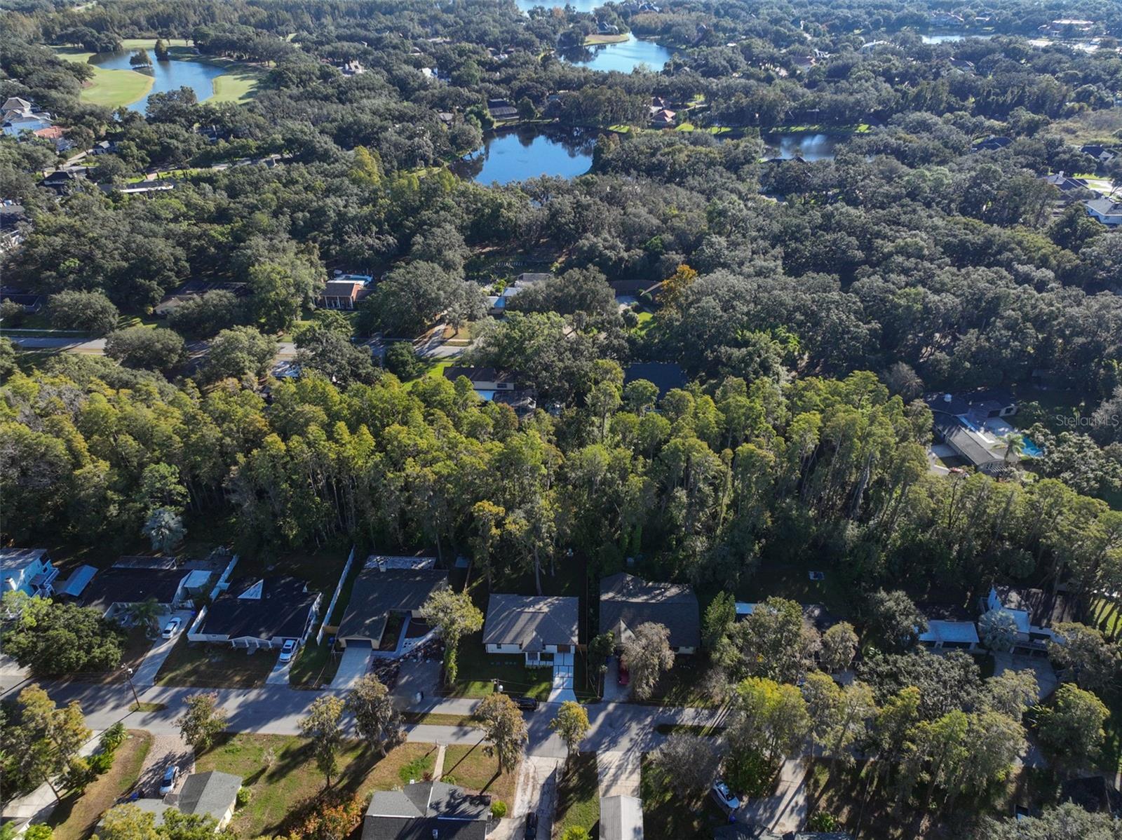 16407 LAKE BYRD DR, TAMPA, FL, 33618