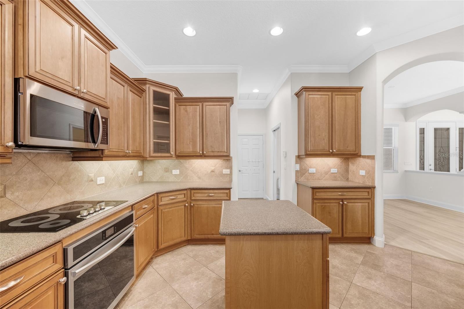 27318 SORA BLVD, WESLEY CHAPEL, FL, 33544