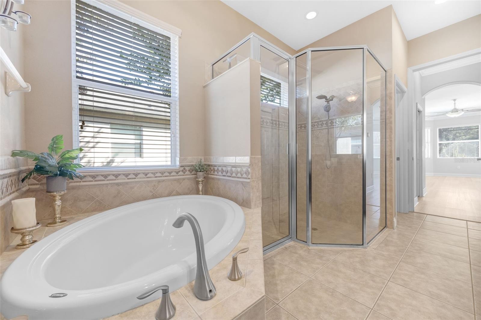 27318 SORA BLVD, WESLEY CHAPEL, FL, 33544