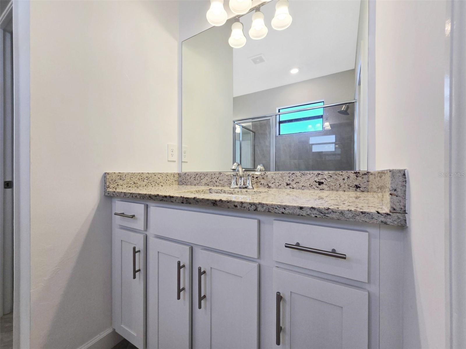 15942 CLEAR SKIES PL, LAKEWOOD RANCH, FL, 34211