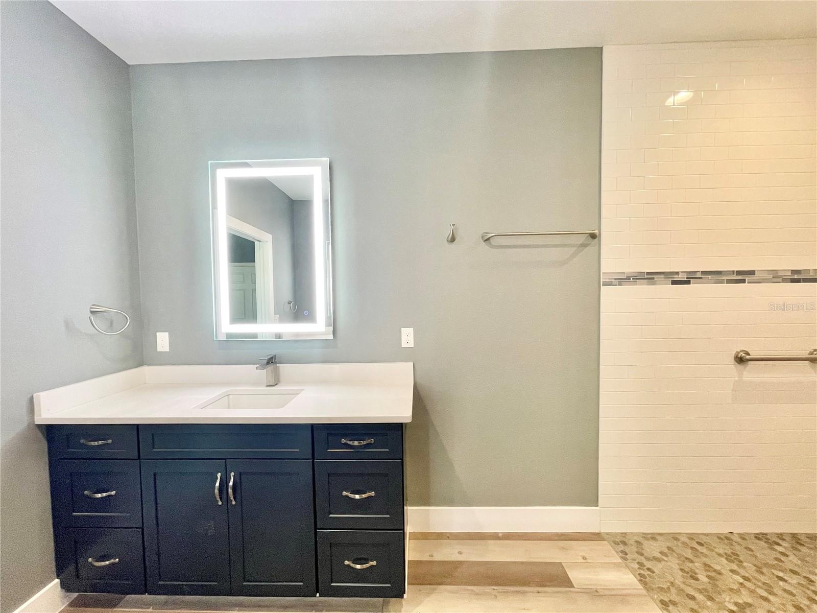 10620 SW 10TH TER, MICANOPY, FL, 32667