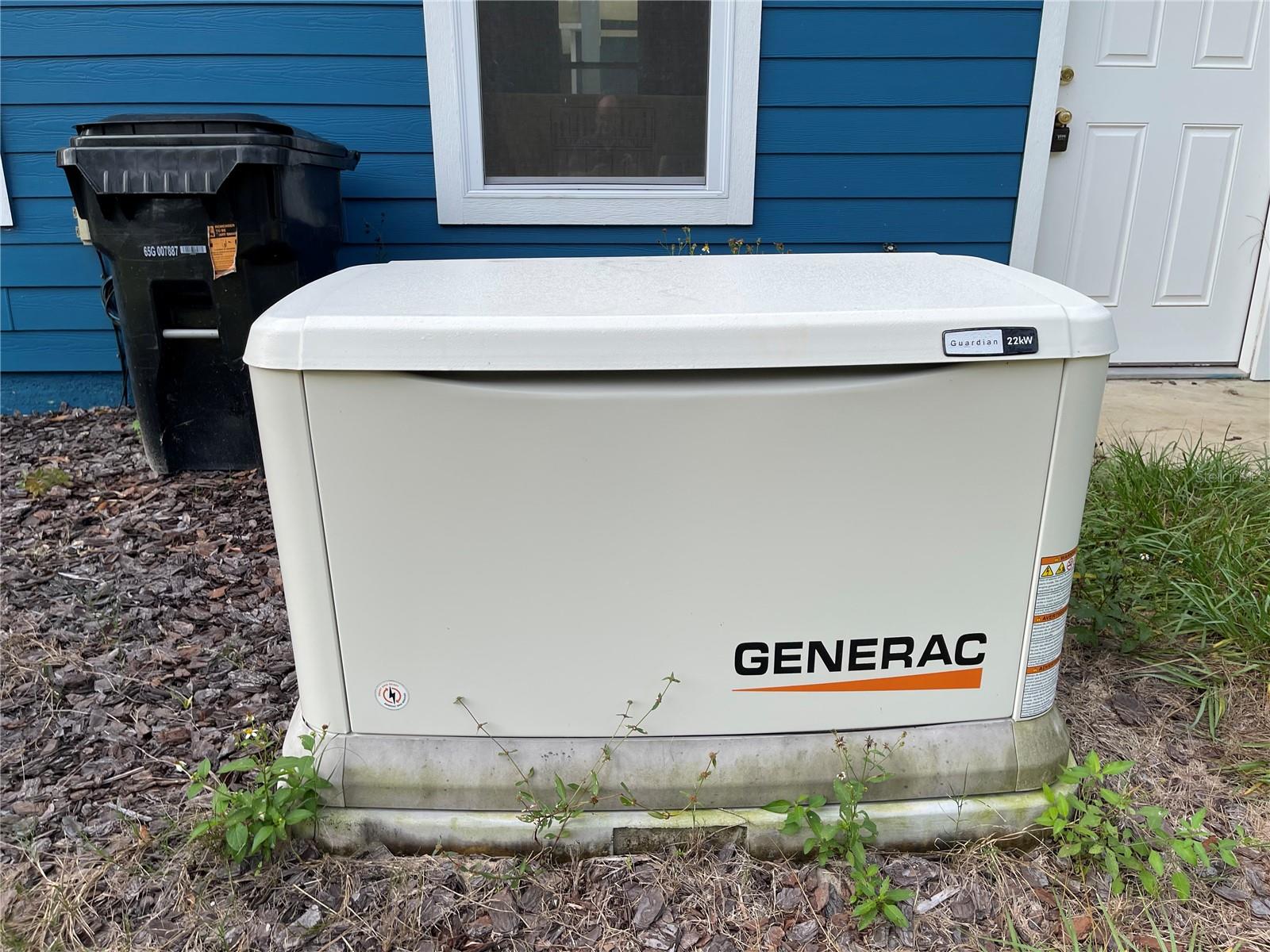 10620 SW 10TH TER, MICANOPY, FL, 32667