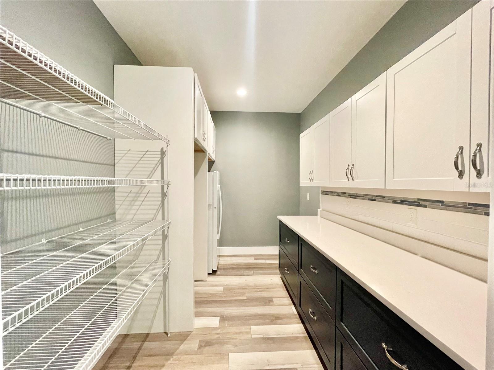 10620 SW 10TH TER, MICANOPY, FL, 32667