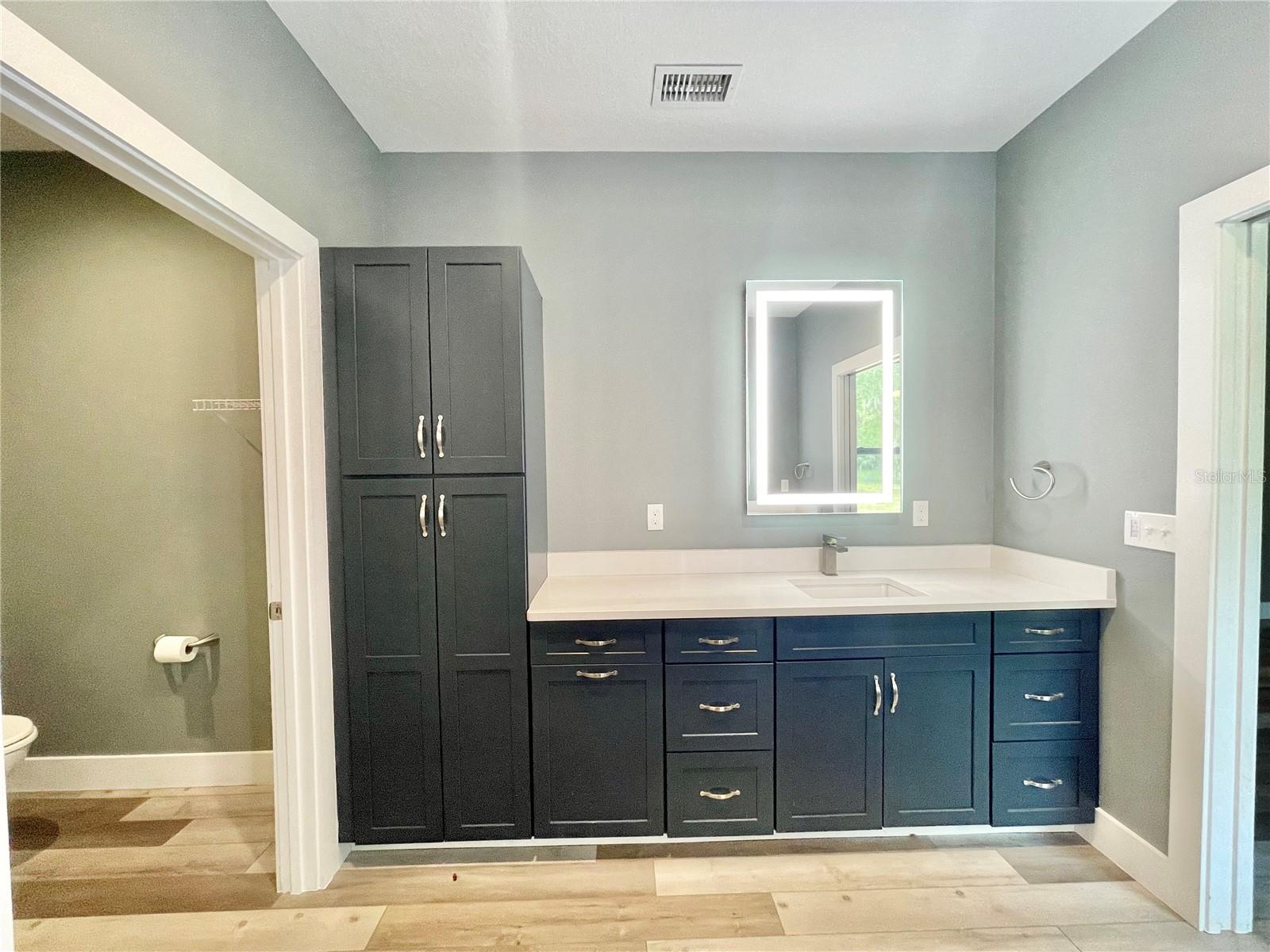 10620 SW 10TH TER, MICANOPY, FL, 32667