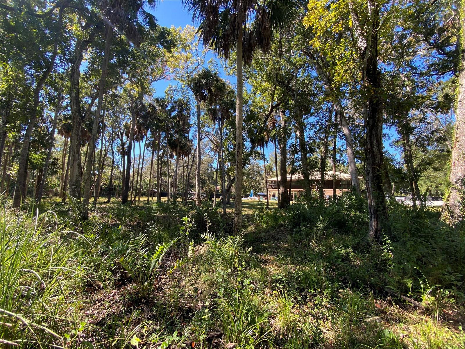 18930 JEBERT DR, ARIPEKA, FL, 34679