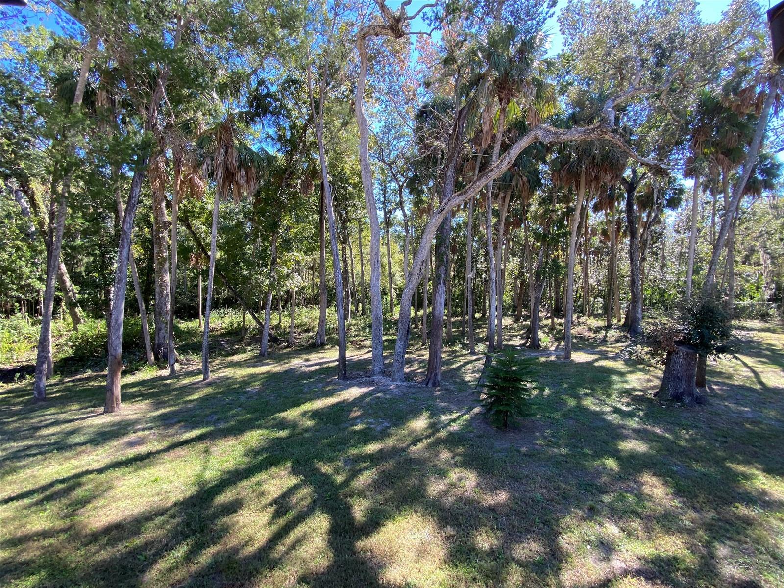 18930 JEBERT DR, ARIPEKA, FL, 34679