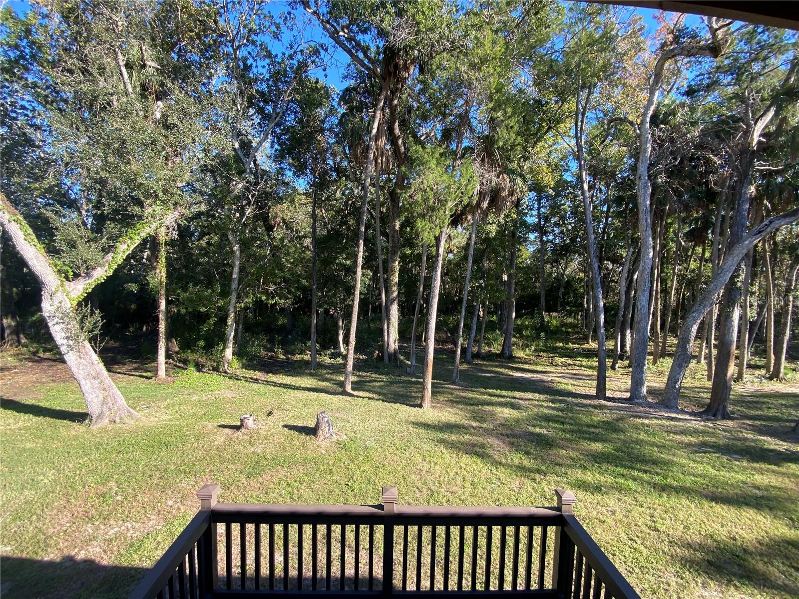 18930 JEBERT DR, ARIPEKA, FL, 34679