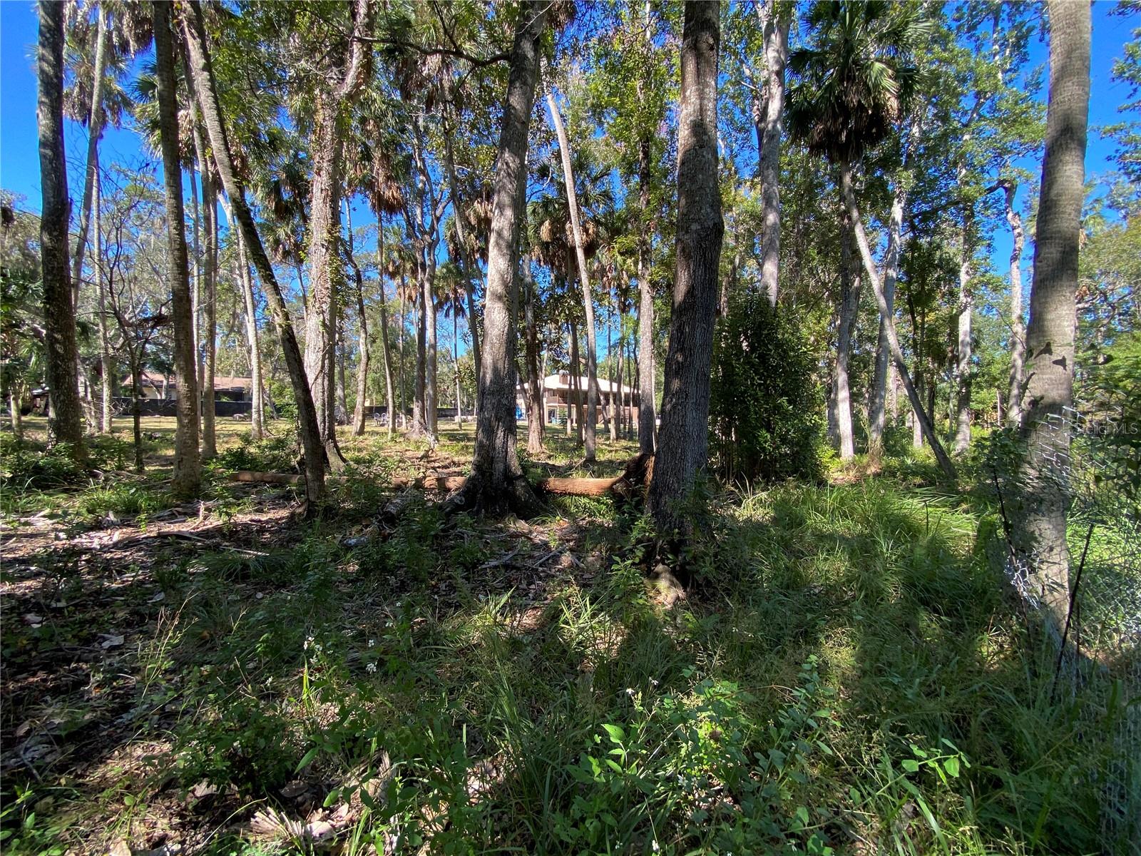 18930 JEBERT DR, ARIPEKA, FL, 34679