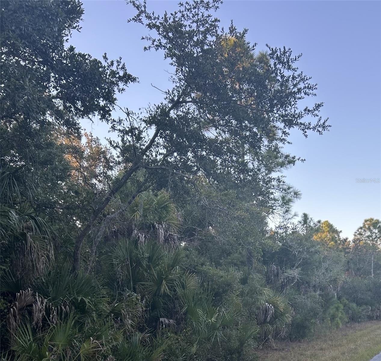 23391 BUCKNER AVE, PORT CHARLOTTE, FL, 33980