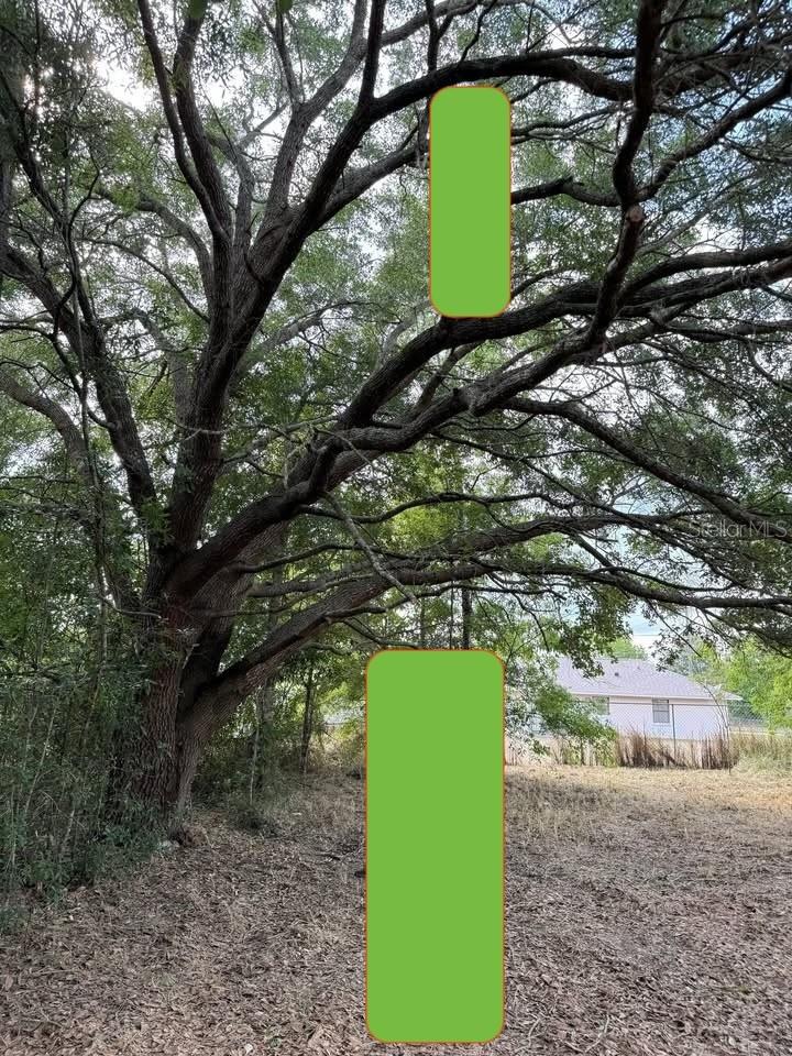 0 SW ALMOND TRAIL CT., OCALA, FL, 34472