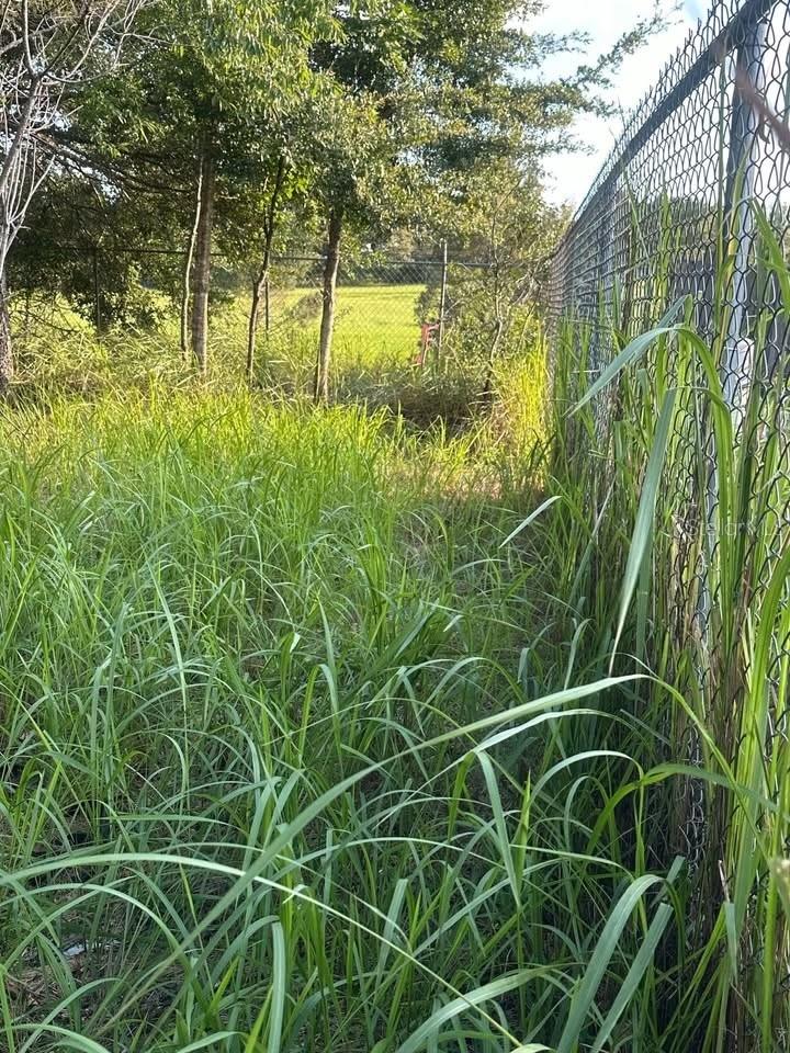 0 SW ALMOND TRAIL CT., OCALA, FL, 34472